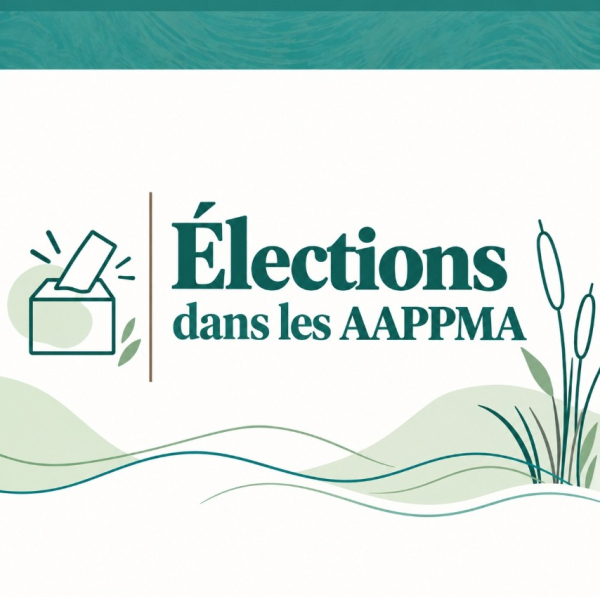 🗳Élections dans les AAPPMA : et si vous vous engagiez ? 📆Le dernier trimestre de…