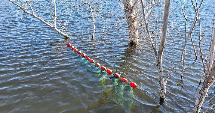 frayères flottantes