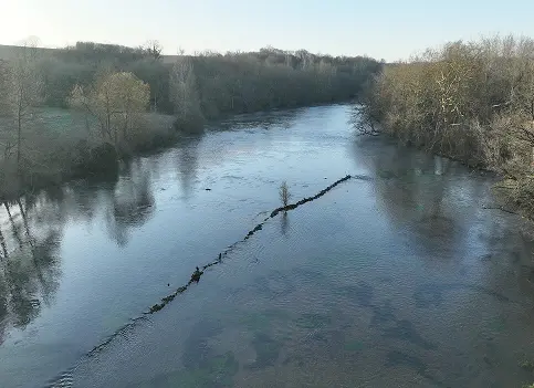 habitat degrade