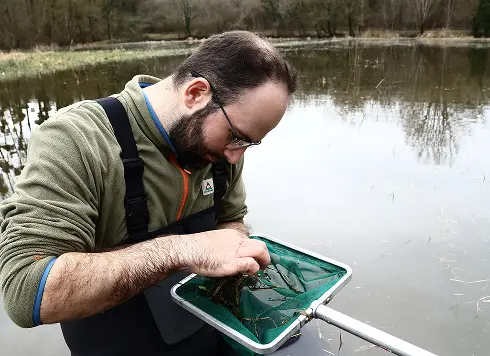 restauration des frayeres