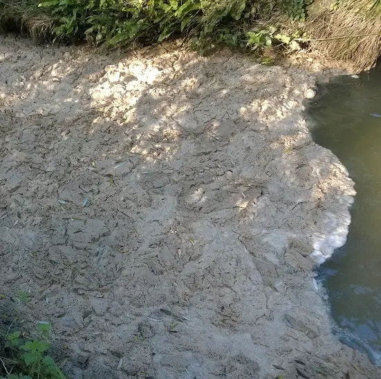signes de pollution