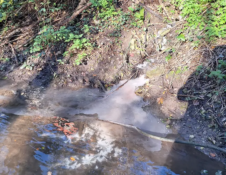 signes de pollution